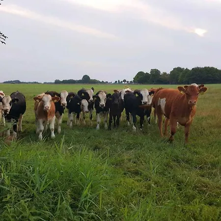 Klein-tjuecher-grashaus 4