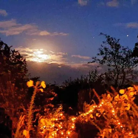 Appartement Klein-tjuecher-grashaus 4 *