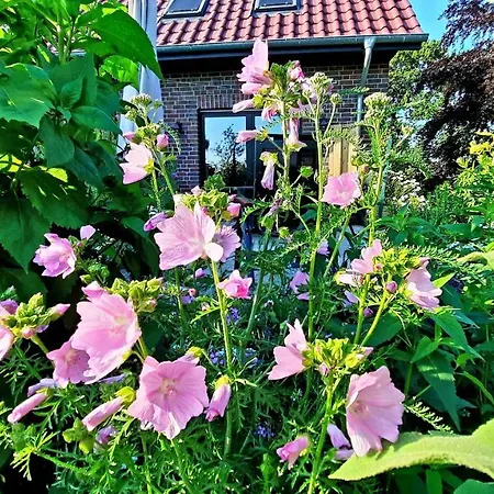 Klein-tjuecher-grashaus 4 公寓 *