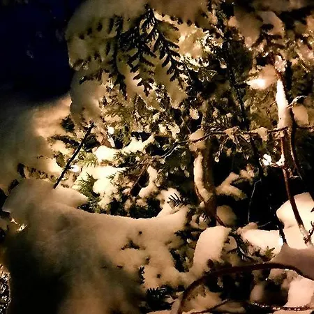 Klein-tjuecher-grashaus 4 * Upgant-Schott